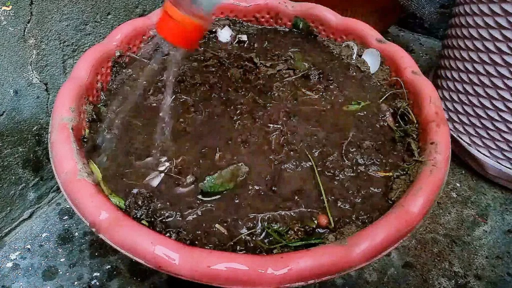 Making Organic VermiCompost