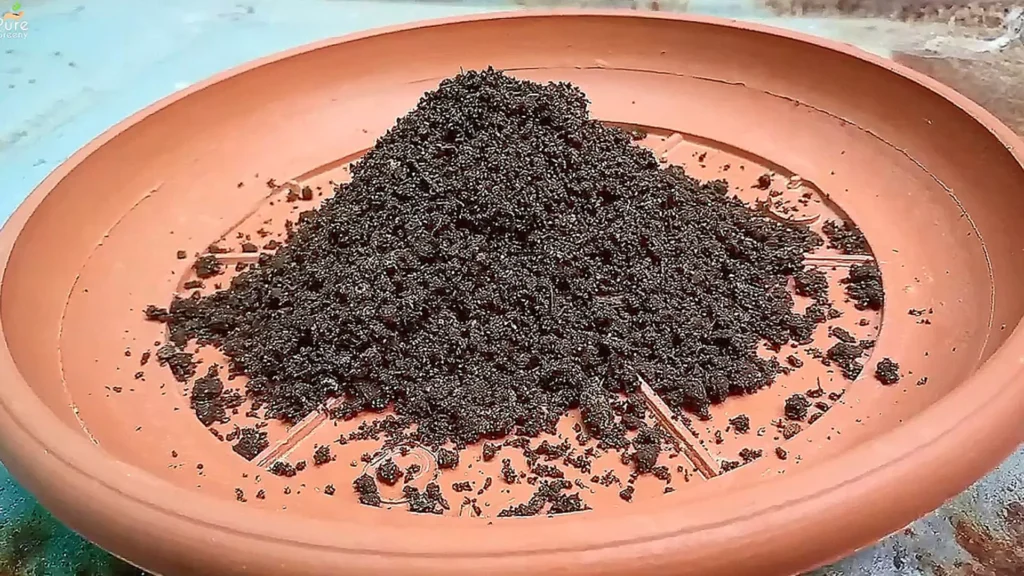 VermiCompost