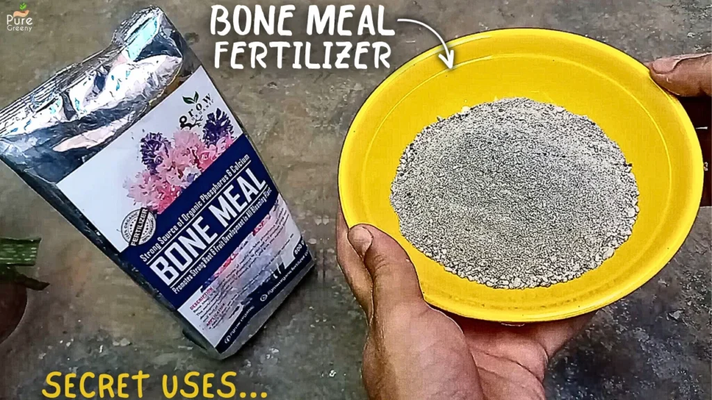 Benefits of Bone Meal Fertilizer For Plants, & The Right Way To Use It!