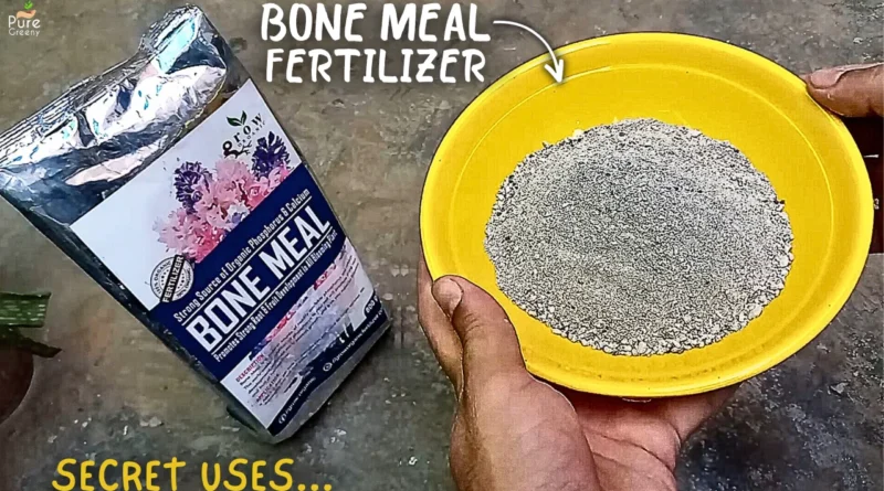 Benefits of Bone Meal Fertilizer For Plants, & The Right Way To Use It!