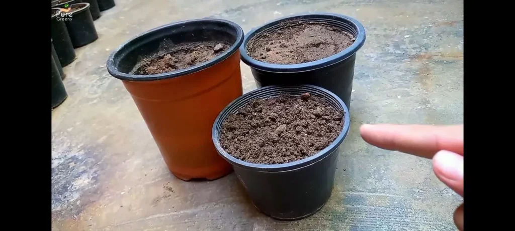 Pots Of Different Size