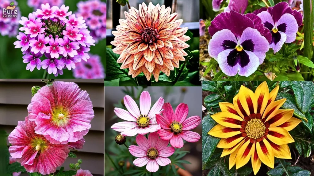 15 Easiest To Grow Winter Flowering Plants!