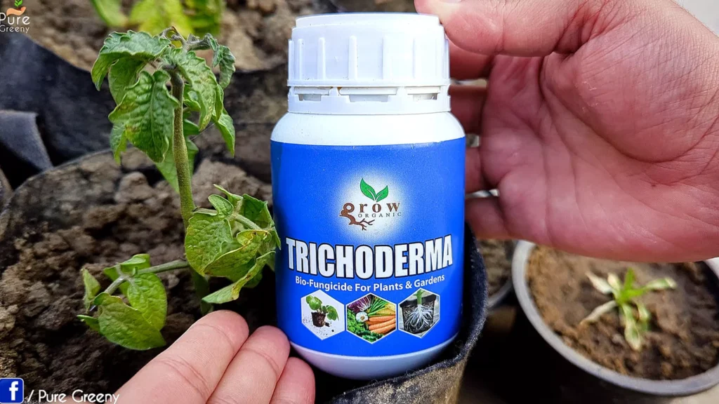 trichoderma fungicide benefits for plants