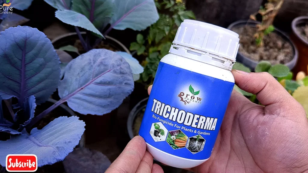 trichoderma fungicide for plants
