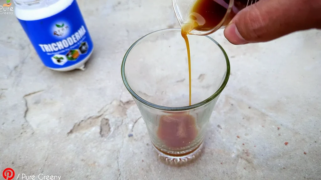 Making Trichoderma Fungicide Liquid