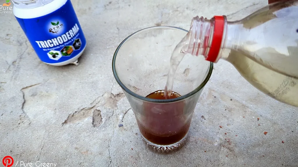 Making Trichoderma Fungicide Liquid