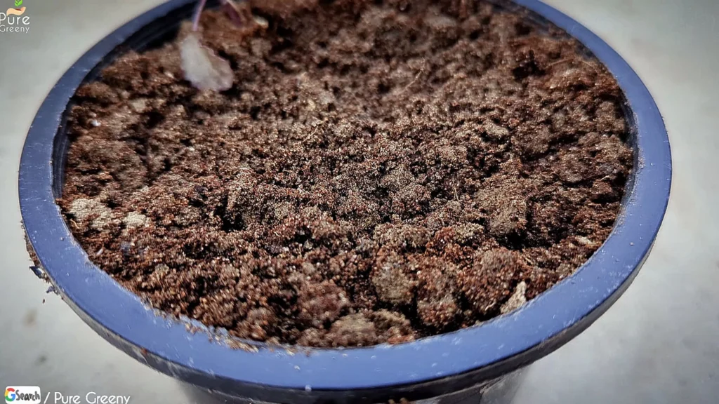 Loose & Porous Soil Media