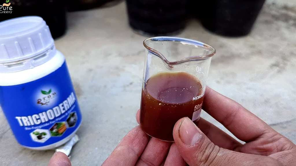 trichoderma fungicide liquid for plants