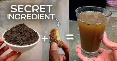 Secret Recipe of Making Powerful Compost Tea Liquid at Home!