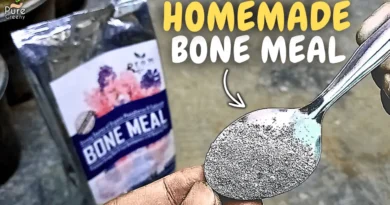 Hidden Ways To Use Bone Meal Fertilizer For Plants! (Nursery Ways)