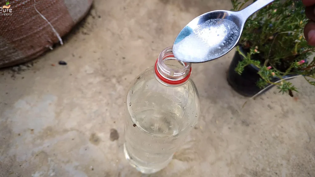 Making em1 Liquid With Yogurt