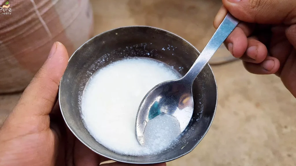 Yogurt For em1