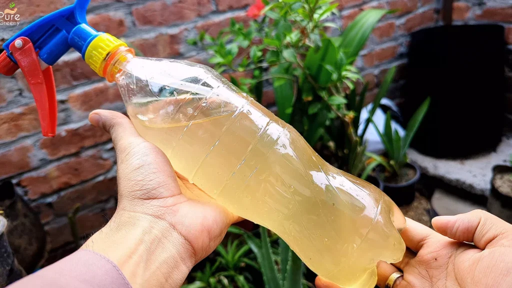 em1 Liquid Spray For Plants