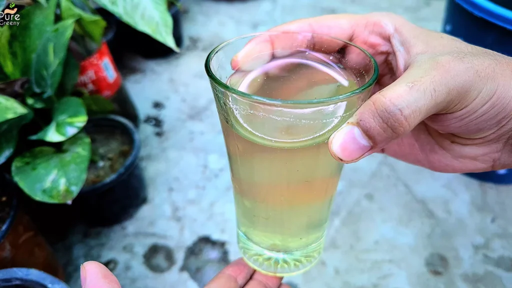 em1 Liquid for plants