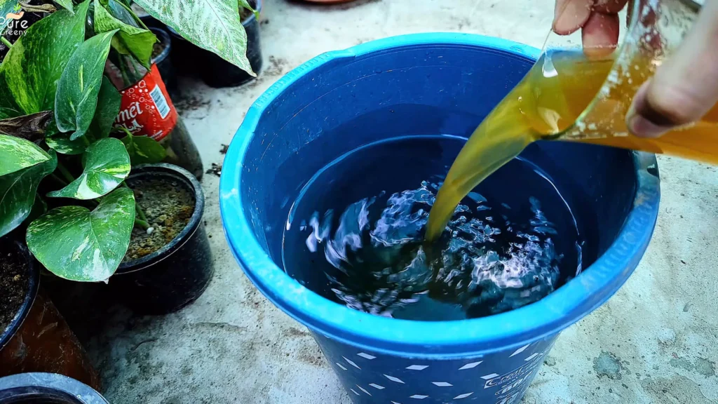Diluting em1 Liquid