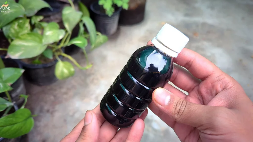 em1 Liquid Culture