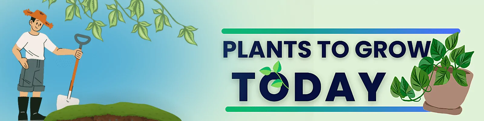 Plants To Grow Today